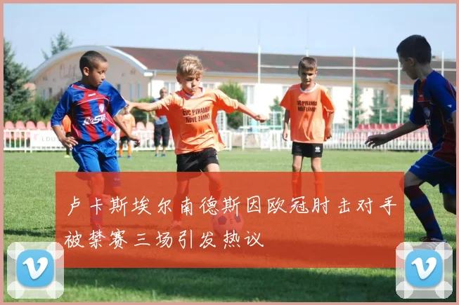 卢卡斯埃尔南德斯因欧冠肘击对手被禁赛三场引发热议