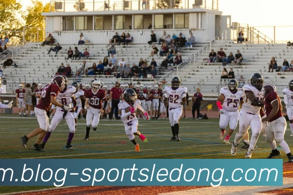 乐动体育发展历程